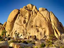 Montagne du parc national de Joshua Tree