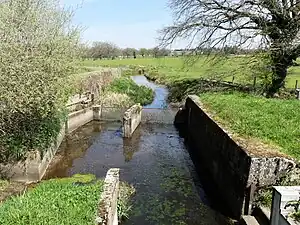 Le ruisseau des landes, exutoire de l'étang.