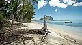 Île aux Bénitiers, vue depuis la plage, avec le Morne Branant en arrière-plan.