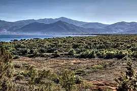 Lac de Stómi asséché, forêt et Pentélique en arrière-plan.