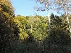 réserve naturelle classée,