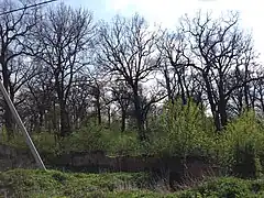 Réserve naturelle, classée,