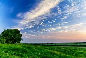 Image illustrative de l’article Plaine du Khanka