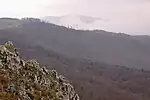 Zeya Zapovednik