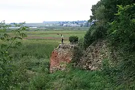 Hauteur par rapport à un homme.