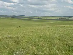 Steppe du Sud de la Sibérie en été, kraï de l'Altaï.