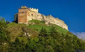 Image illustrative de l’article Château de Kremenets