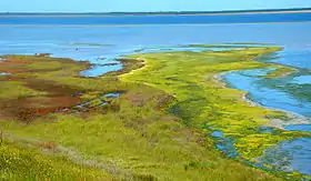 Rive du liman de Khadjyder.