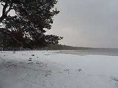 bords gelés d'un lac (2016) ;