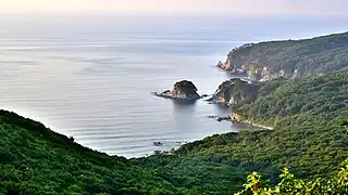 Île du cœur désireux