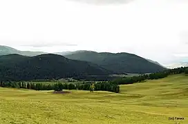 Autre tumulus. Le village se situe derrière le bois.