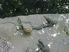 et préhistoriques à Odessa.