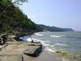 La côte Baltique près de Svetlogorsk.