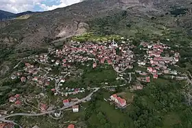 Novak (Tsentar Joupa)