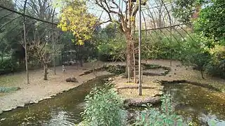 Intérieur de la grande volière.