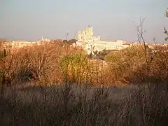 Vue sur la ville et la cathédrale Saint-Nazaire de Béziers.