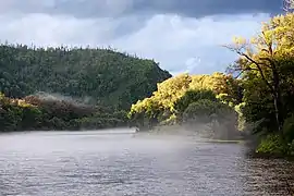 Brume en août sur le cours moyen.