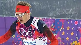 Image illustrative de l’article Stanislav Voljentsev