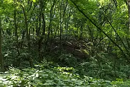 La réserve naturelle de Starovichnevetskiï, classée patrimoine naturel