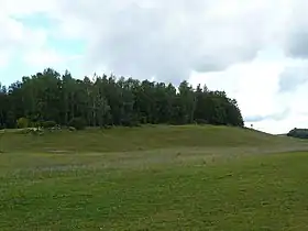Photographie d'une colline verte recouverte d'un bosquet.