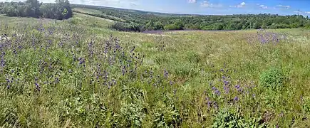 La réserve naturelle de Urotchyche Khorocheve, classée patrimoine naturel