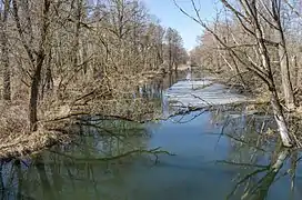 Réserve de Bilouski, classée,