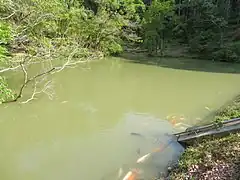 Miyaike (Pond) at Ōagata Shrine