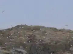 Fumishima vue de loin