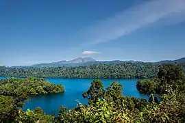 Forêt tropicale de la chaîne montagneuse des Ghats occidentaux.