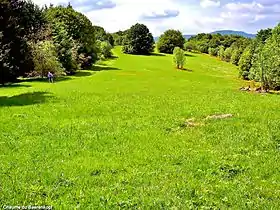 Chaume du Baerenkopf.