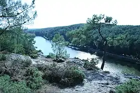 L’Oust à l'île aux Pies.