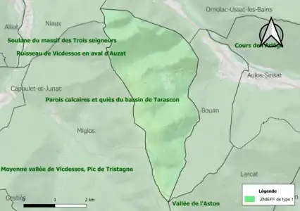 Carte des ZNIEFF de type 1 sur la commune.