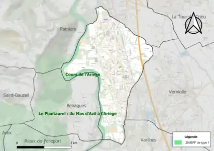 Carte de la ZNIEFF de type 1 sur la commune.