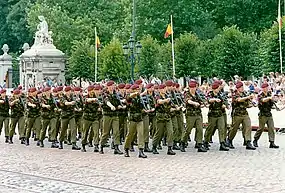 Défilé militaire place des palais.