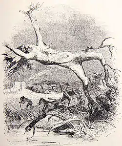 Image illustrative de l’article Le Chêne et le Roseau