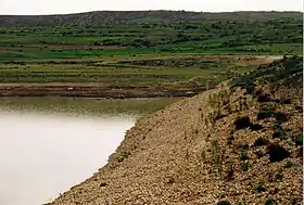 Image illustrative de l’article Arato