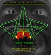 Fig.8. Déglutition salivaire physiologique, dite « en dents serrées ». Développement mature du massif facial. Respirateur nasal (physiologique).