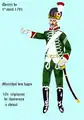 Chasseur du 10e régiment par décret de 1791