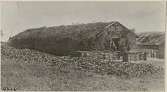 L'armée américaine.