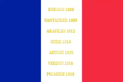 Drapeau du 119e régiment d'infanterie de l'armée française, avec ses batailles.