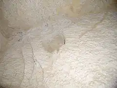 Détail du passage aux herses