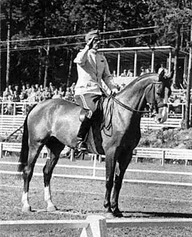 Image illustrative de l’article Mauno Roiha