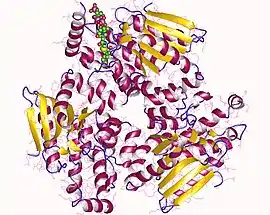 Image illustrative de l’article Énoyl-coenzyme A isomérase