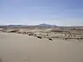 Winnemucca Sand Dunes, en 2012.