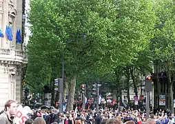 Boulevard Saint-Germain.