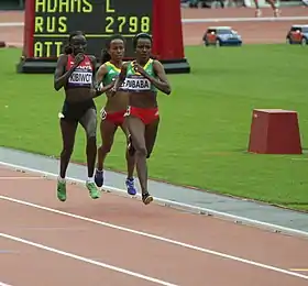 Image illustrative de l’article Viola Kibiwot