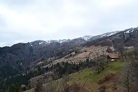 Bijelo Bučje (Teslić)