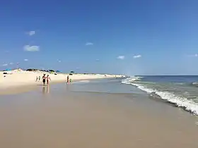 Une plage du Jersey Shore dans le :parc d'État d'Island Beah (en).