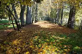 L'ancien embranchement ferroviaire.