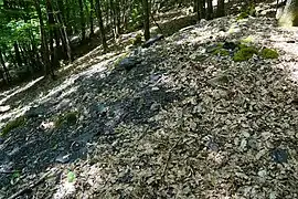 Terril de schiste au Kohlberg.